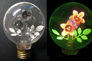 Kas išrado neoninę lempą?