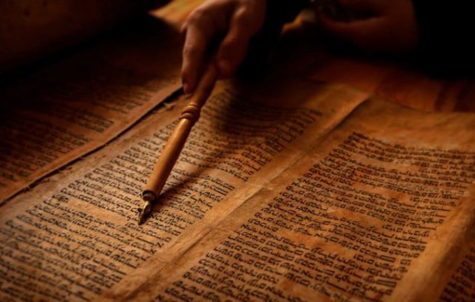 Плодите и размножайтесь, наполняя землю своим потомством